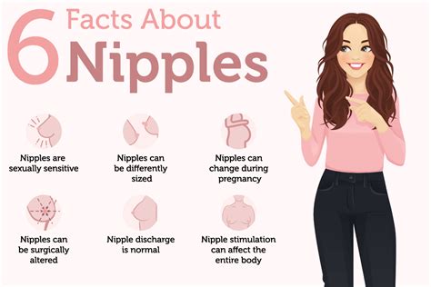 pink nipple|Nipple Facts: 24 Things to Know About Types, Sizes, and Bumps